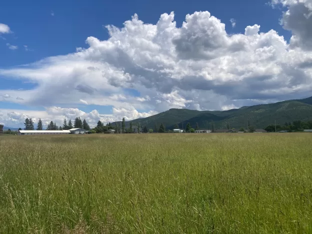 Lot 1 Huson Road Huson Unimprovedland Horse Waterf