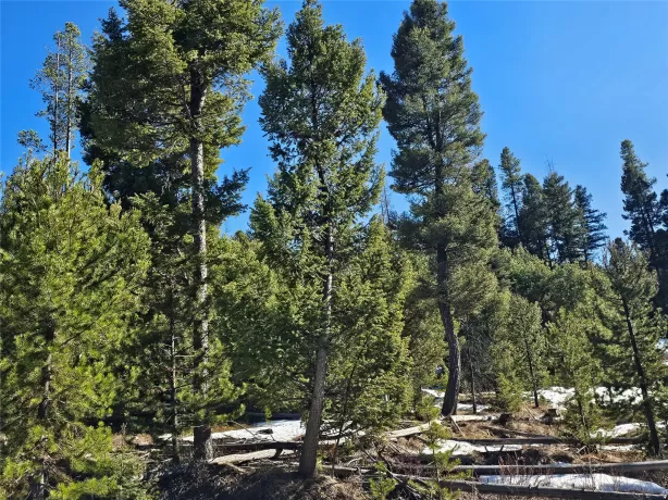 Nhn Elk Horn Road Helmville Unimprovedland Waterfr