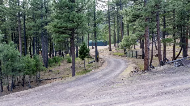 3080 Allen Gulch Road Wolf Creek Singlefamilyresid