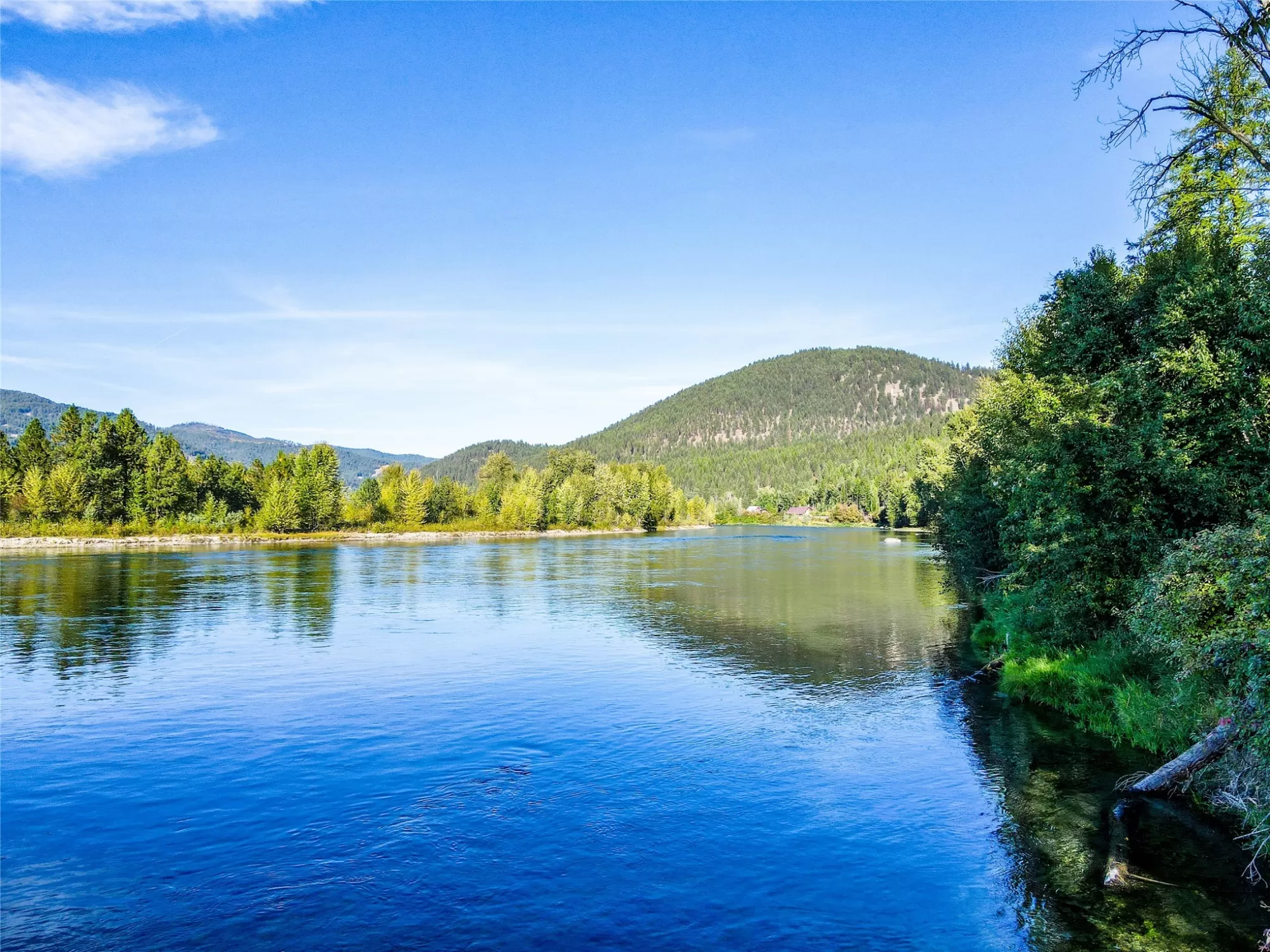 Nka Jennings Haul Road Libby Unimprovedland Horse
