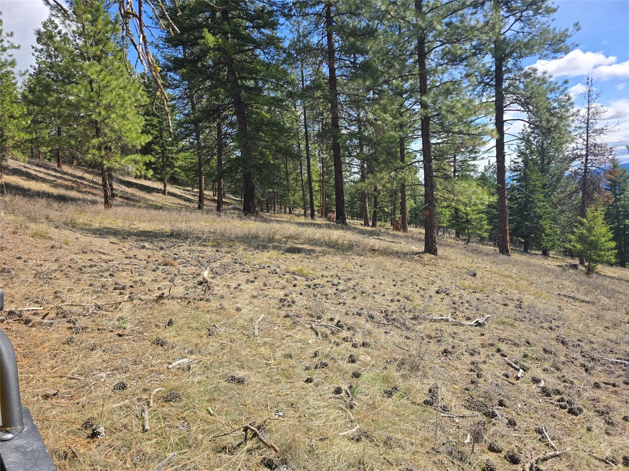 Nhn   Frenchtown Unimprovedland Waterfront 107 Acr