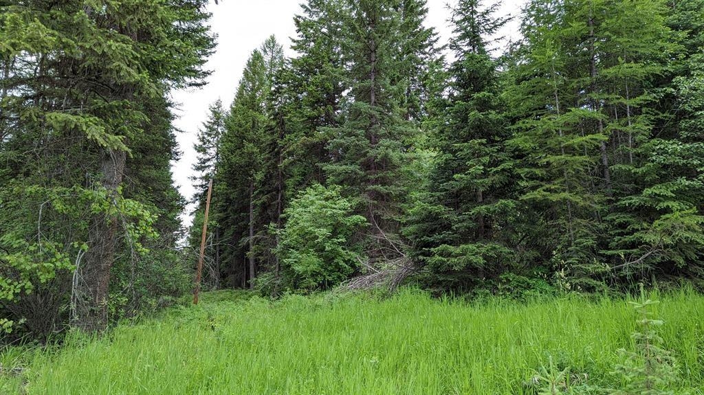 5915 N Ashley Lake Road Kila Waterfront 11 Acres