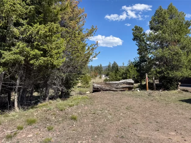 Nhn Pine Drive Seeley Lake Unimprovedland Waterfro