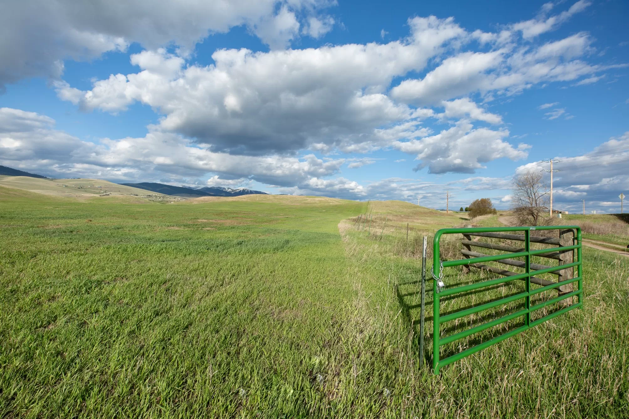 Nhn Pulp Mill Road Frenchtown Agriculture Waterfro