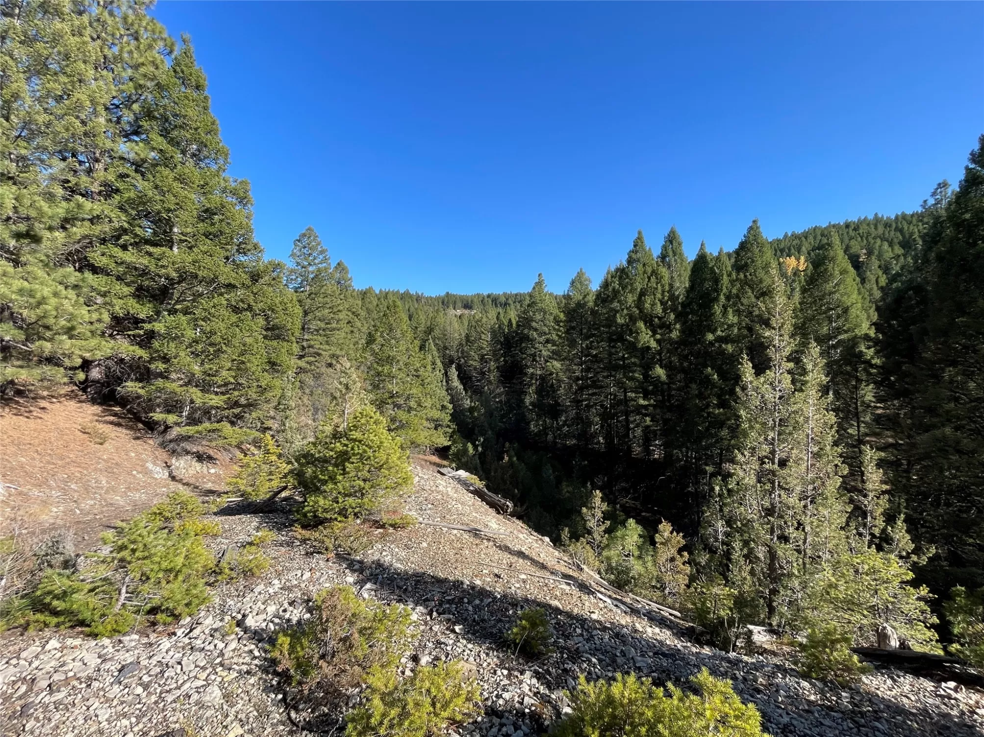 White Horse Lode Tbd Philipsburg Miningclaim Ski W