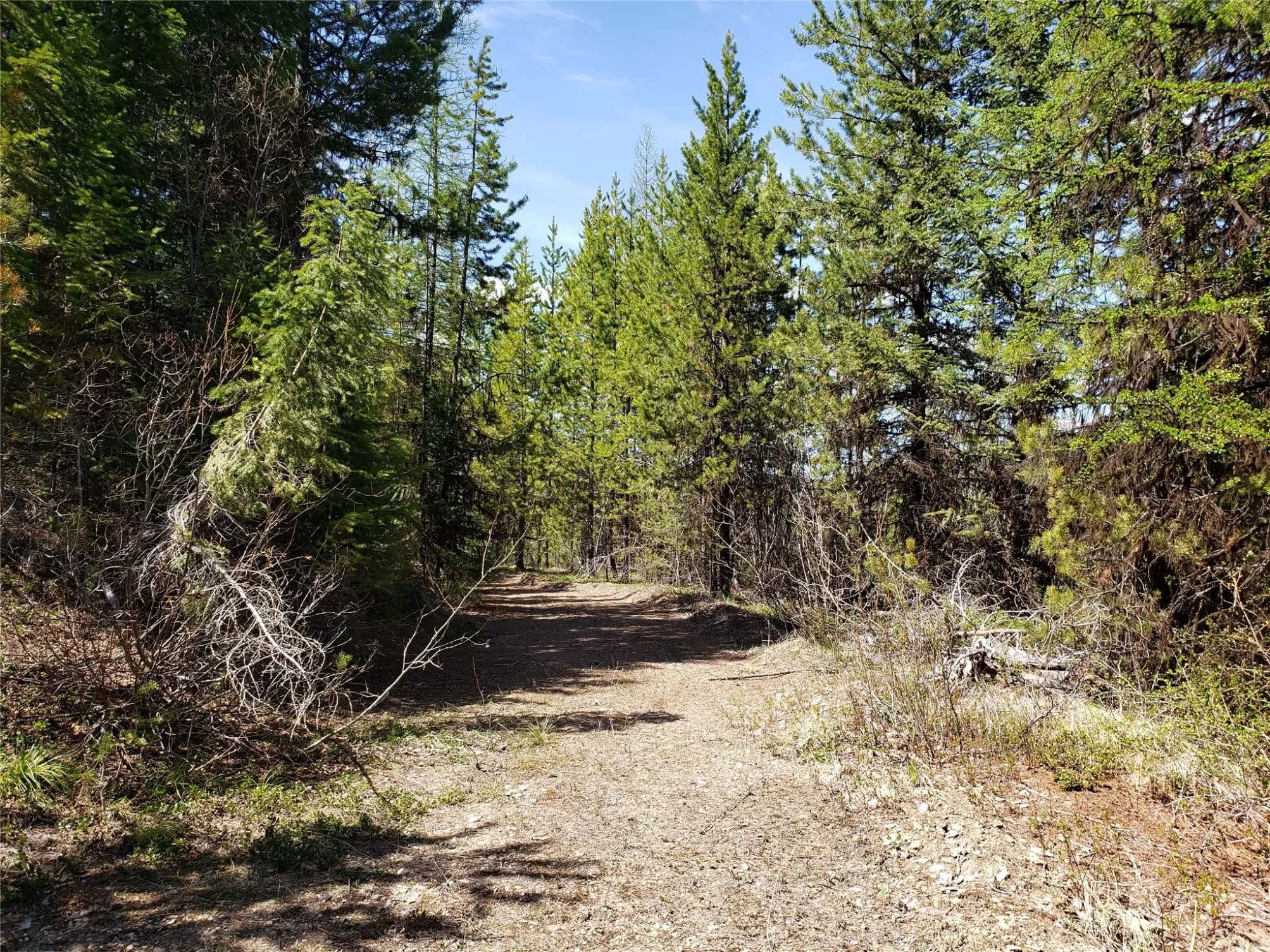 Tract 10 Ida Lode Nine Mile Road Huson Unimprovedl