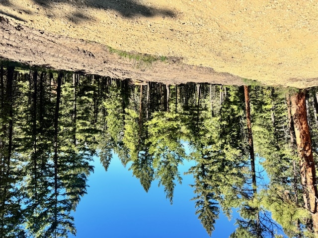 1798 Rocky Top Road Hamilton Waterfront 10 Acres