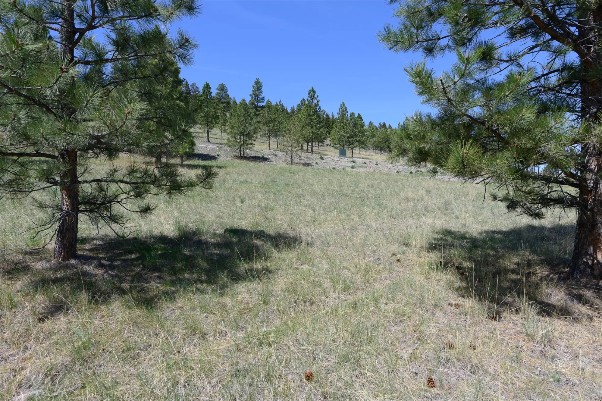 3 Trail Ridge Road Clancy Waterfront 5 Acres