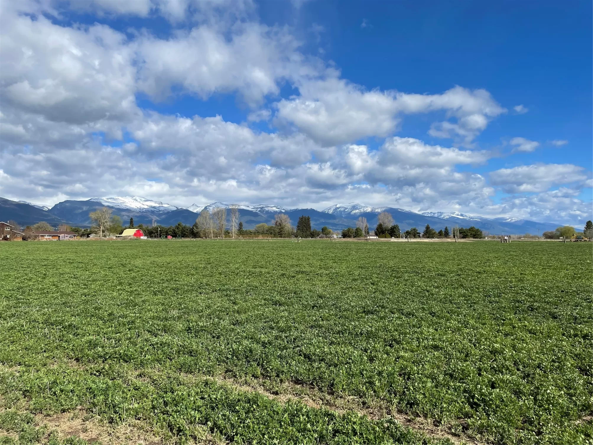 1236 Mysa Court Corvallis Singlefamilyresidence 3