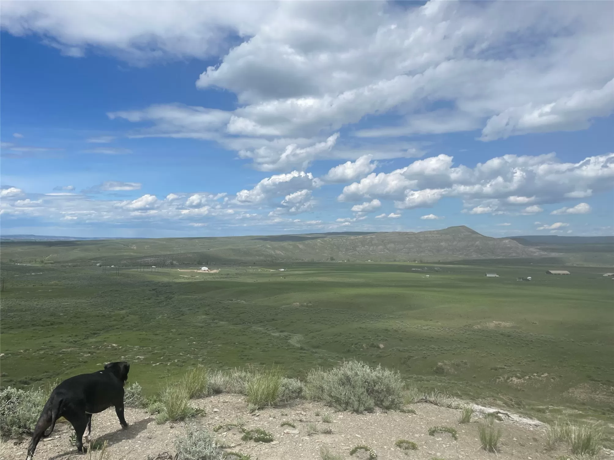 Tbd Bequette Drive Edgar Horse Waterfront 120 Acre