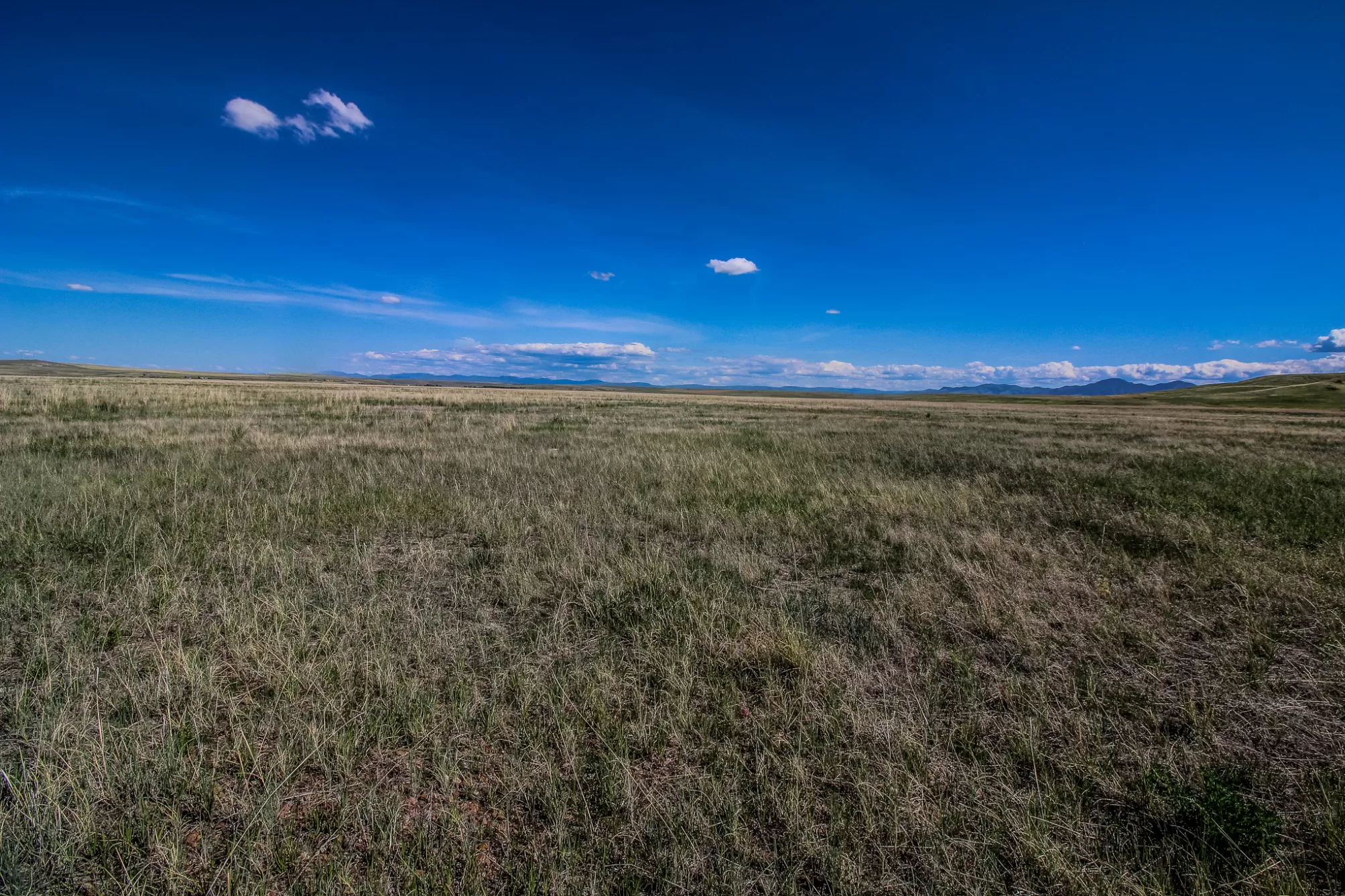 Tract 31 Old Ulm Cascade Road Cascade Agriculture