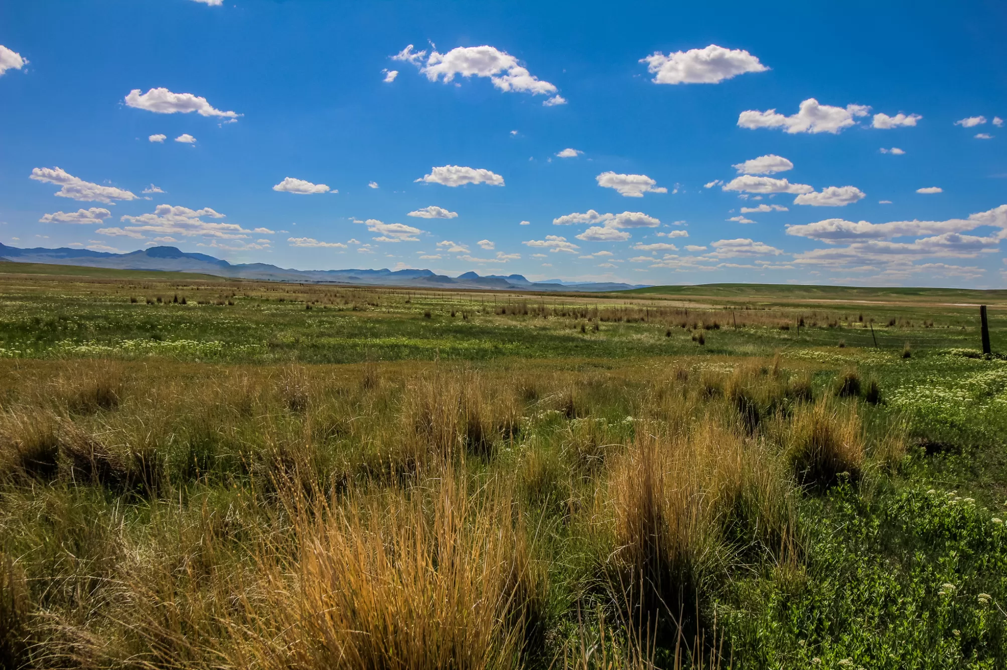 Tract 25 Old Ulm Cascade Road Cascade Agriculture