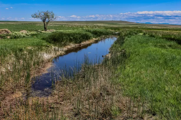 Tract 16 Old Ulm Cascade Road Cascade Agriculture