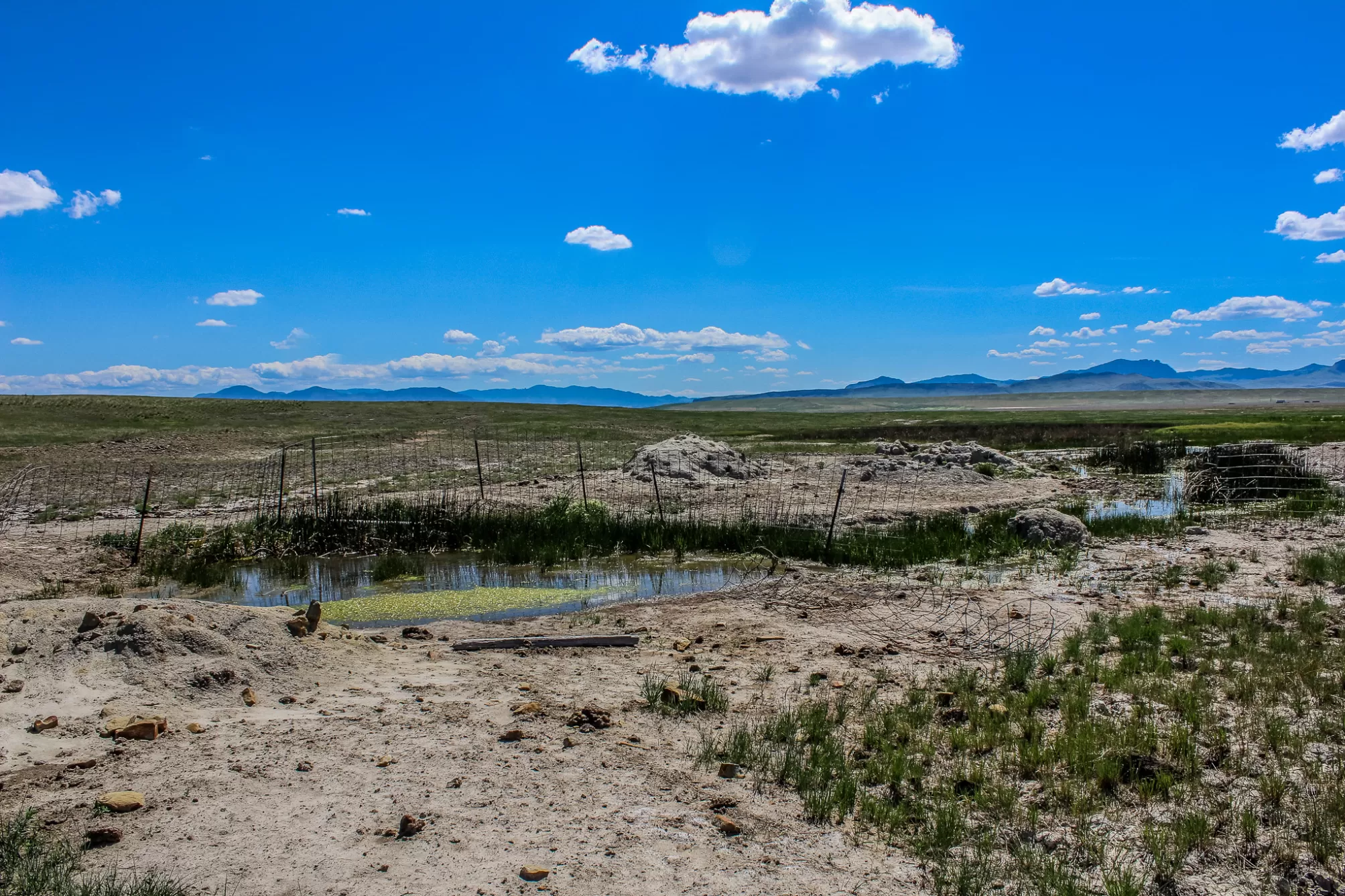 Tract 15 Old Ulm Cascade Road Cascade Agriculture