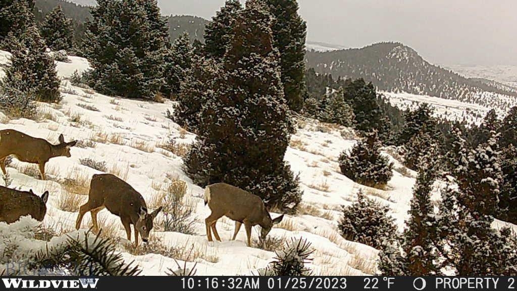 Lot 74 Pony Express Trail Ramsay Waterfront 22 Acr