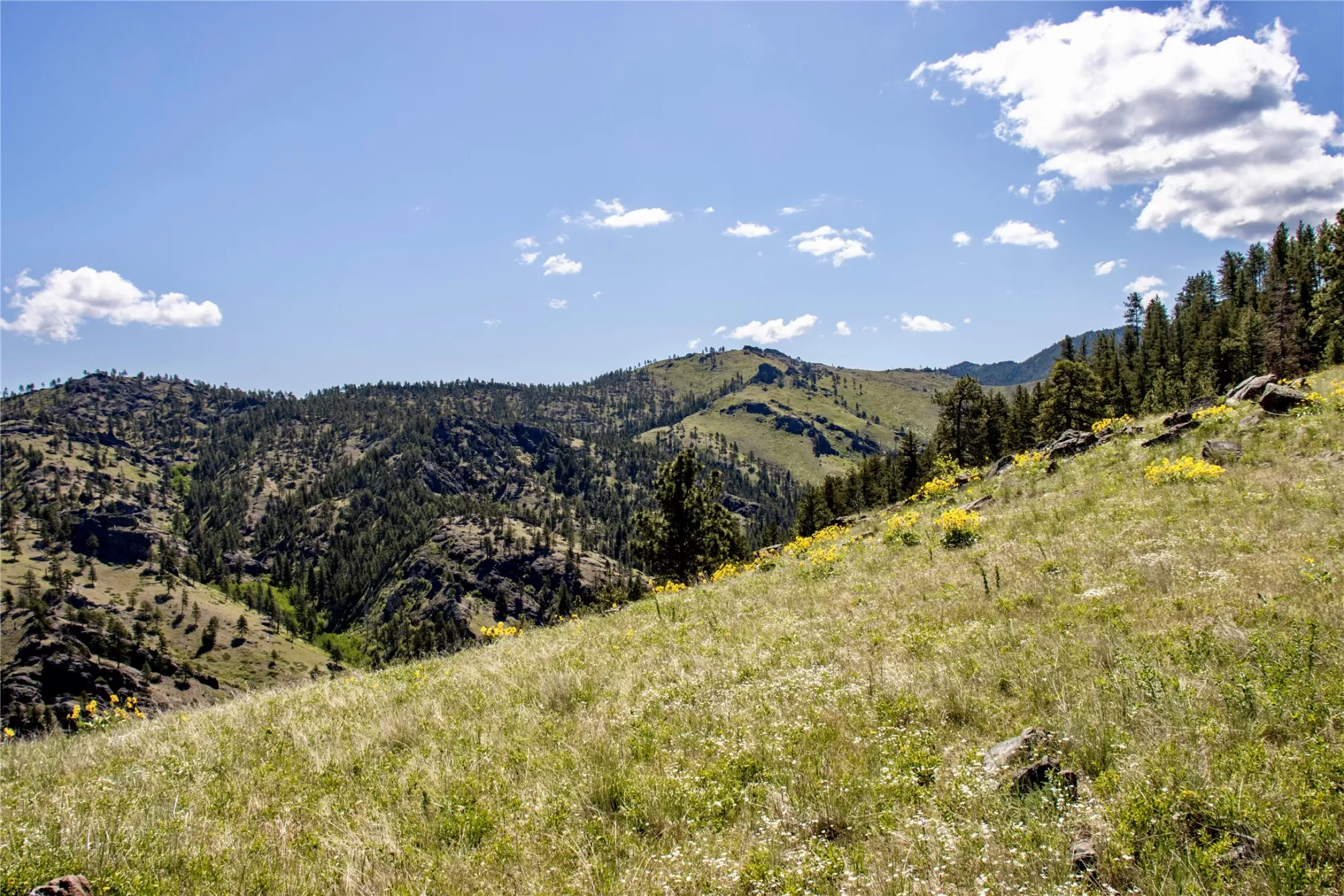 Tbd Novak Creek Lane Cascade Unimprovedland Horse