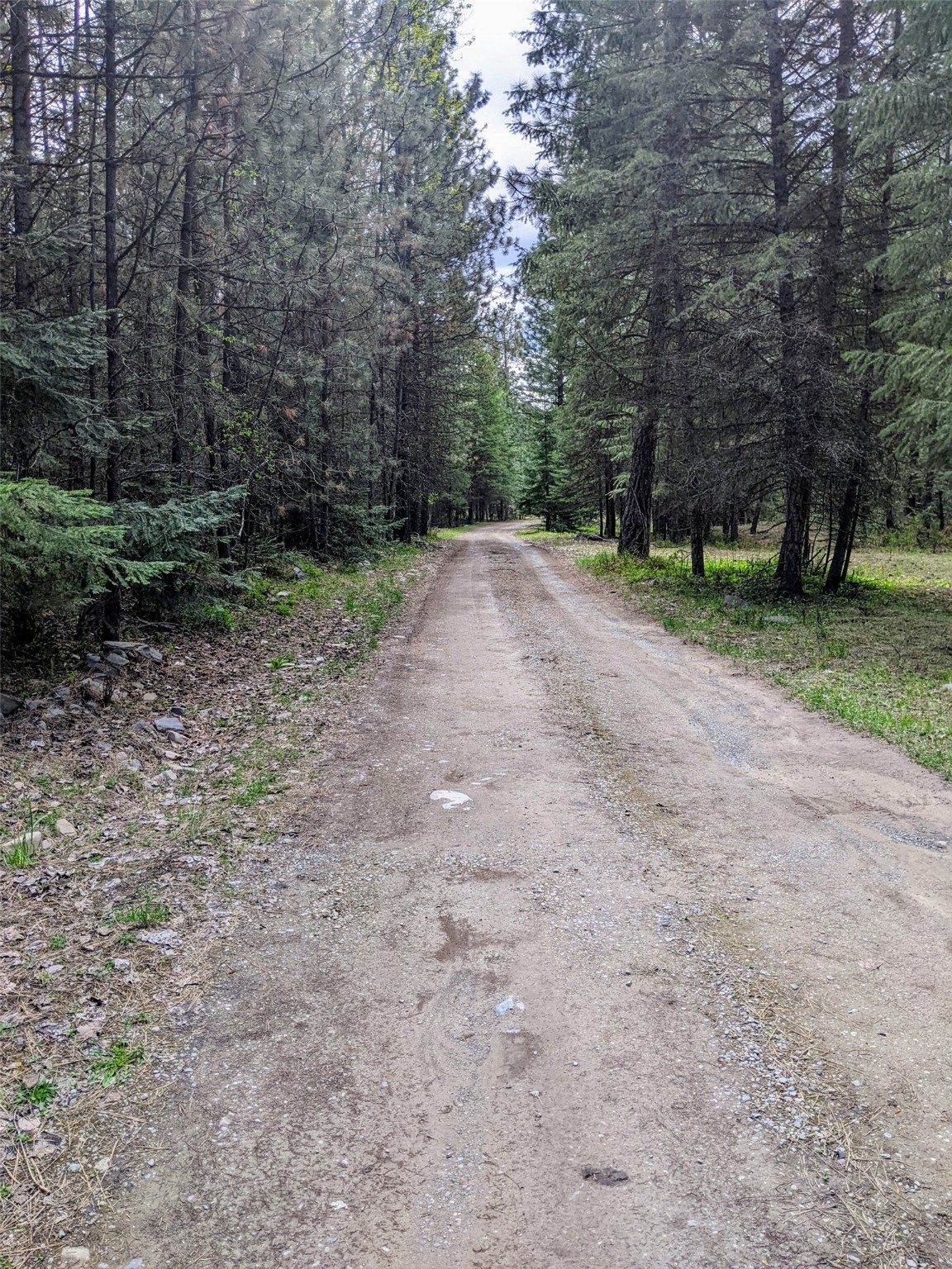 Nhn Little Deer Drive Plains Unimprovedland Waterf