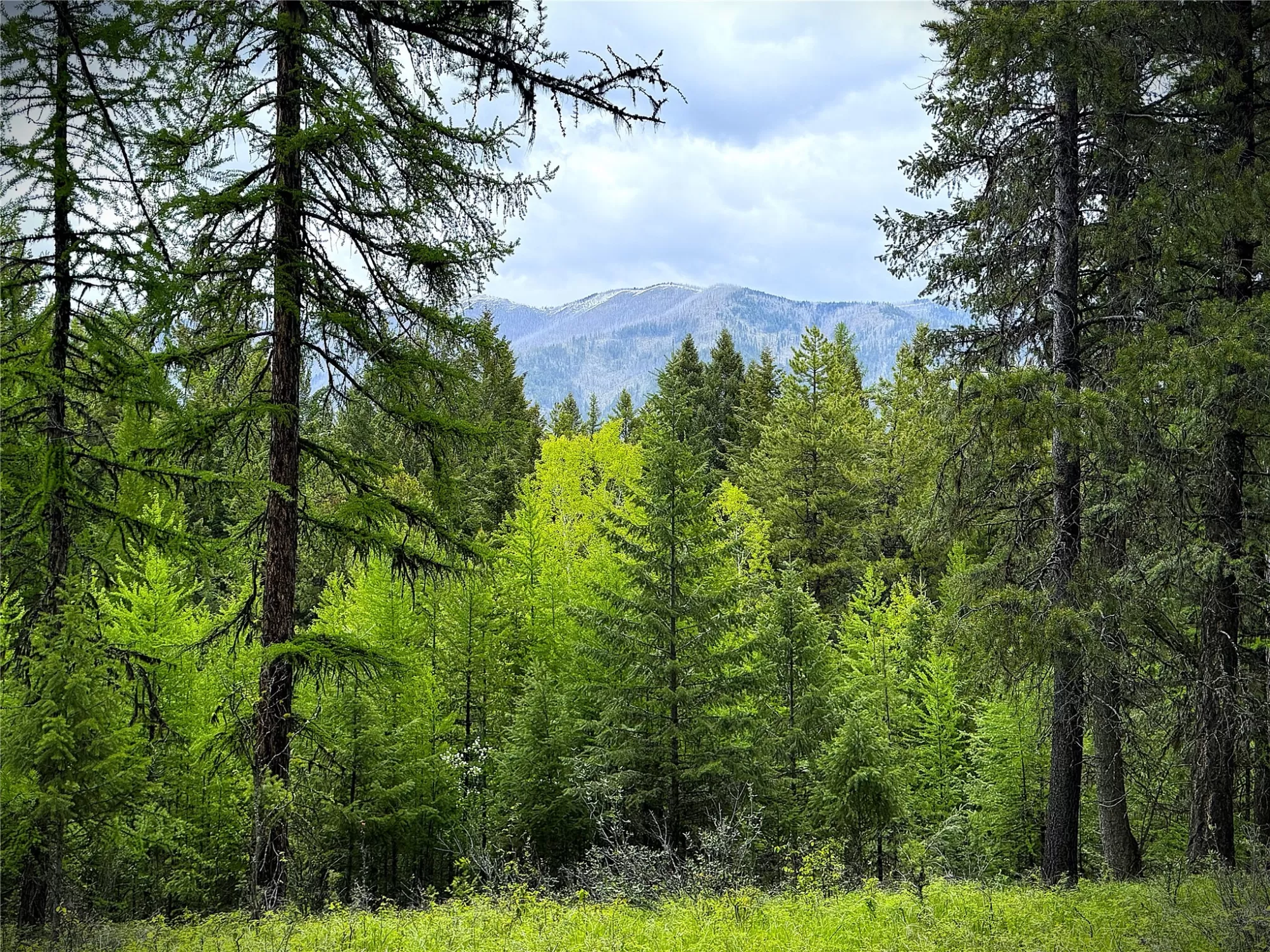 Nhn Lagoon Drive Trego Unimprovedland Waterfront 2