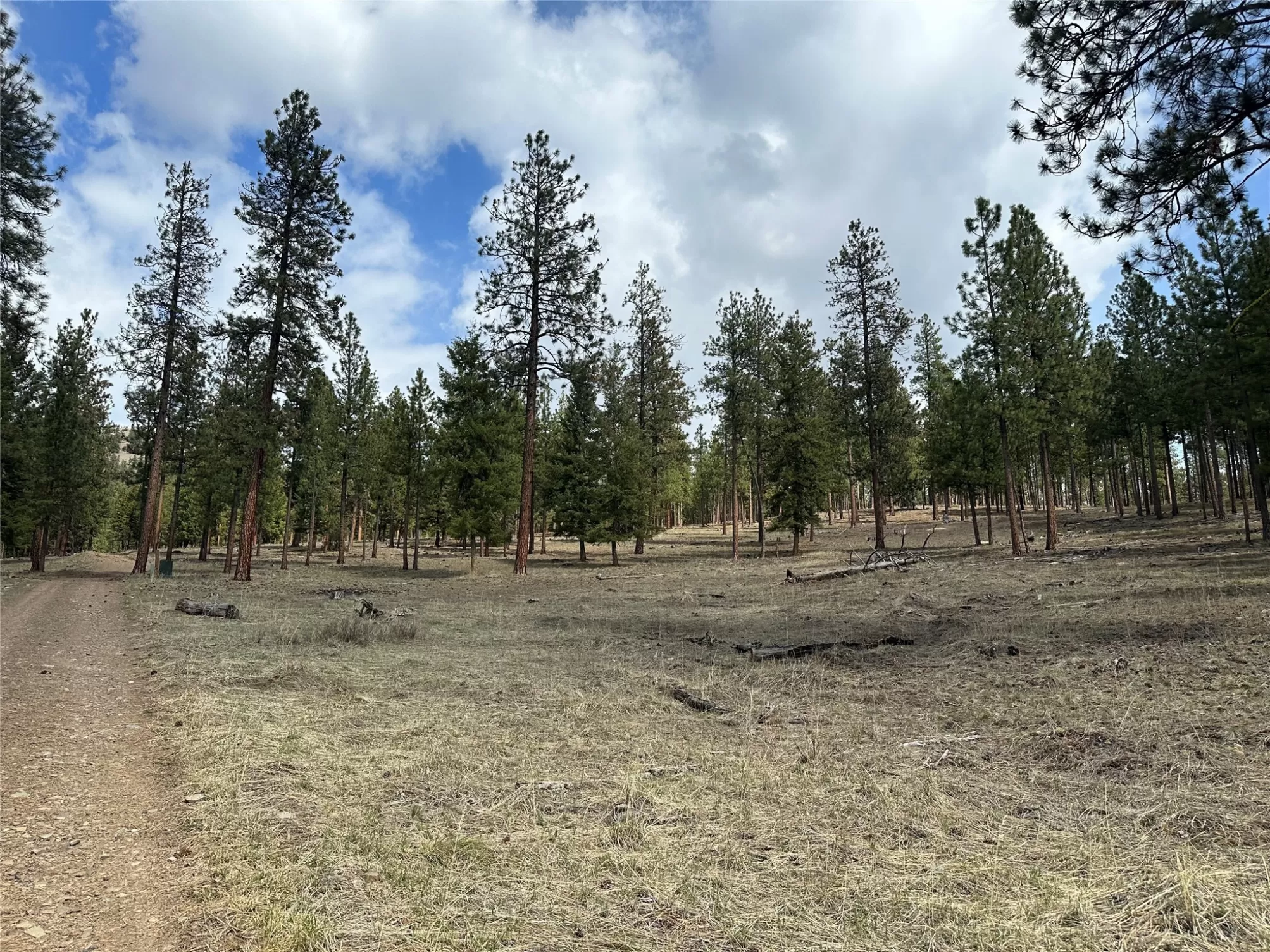 31760 Hwy 10 W Alberton Waterfront 155 Acres