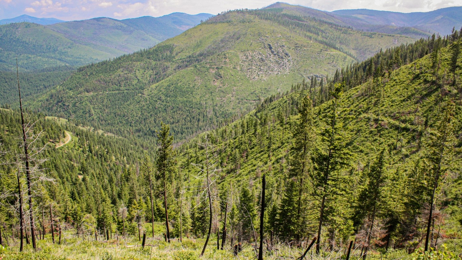 Nhn Swamp Creek Hunting Ranch Plains Unimprovedlan