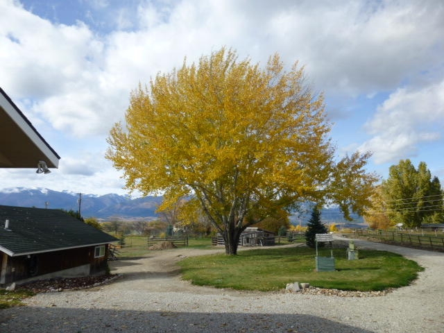 1340 Honey House Lane Corvallis Singlefamilyreside