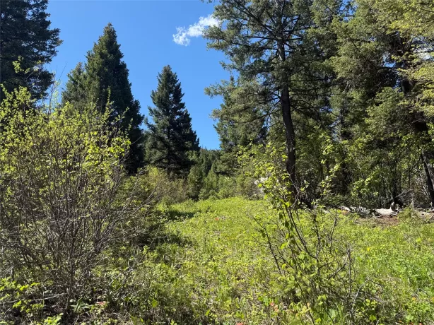 Nhn Camas Springs Road Potomac Waterfront 29 Acres