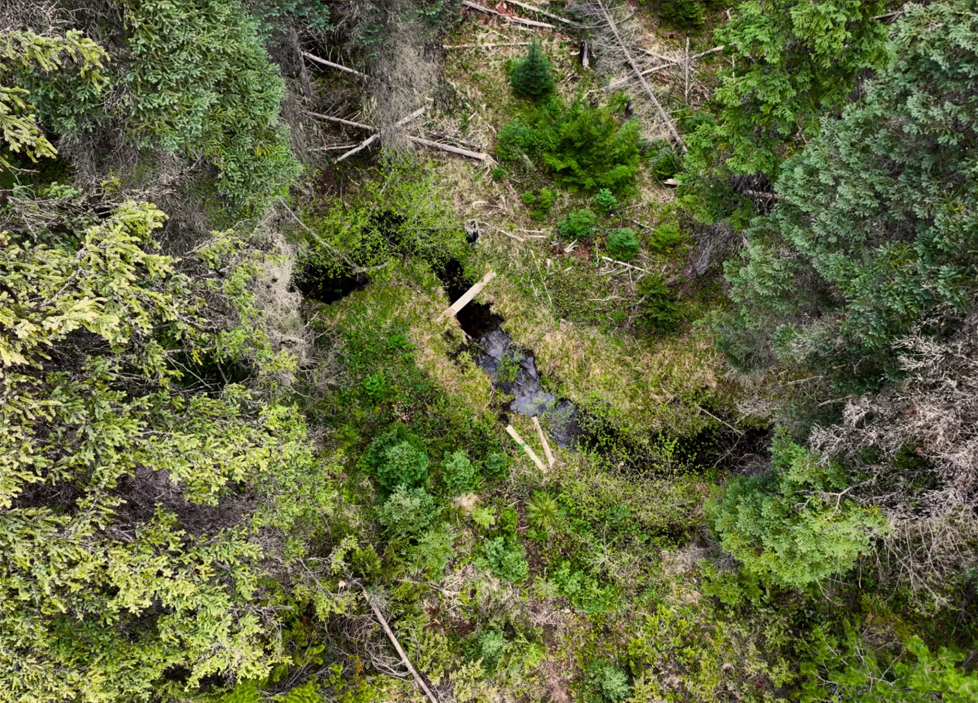 Nhn Hwy 93 Olney Unimprovedland Waterfront 47 Acre