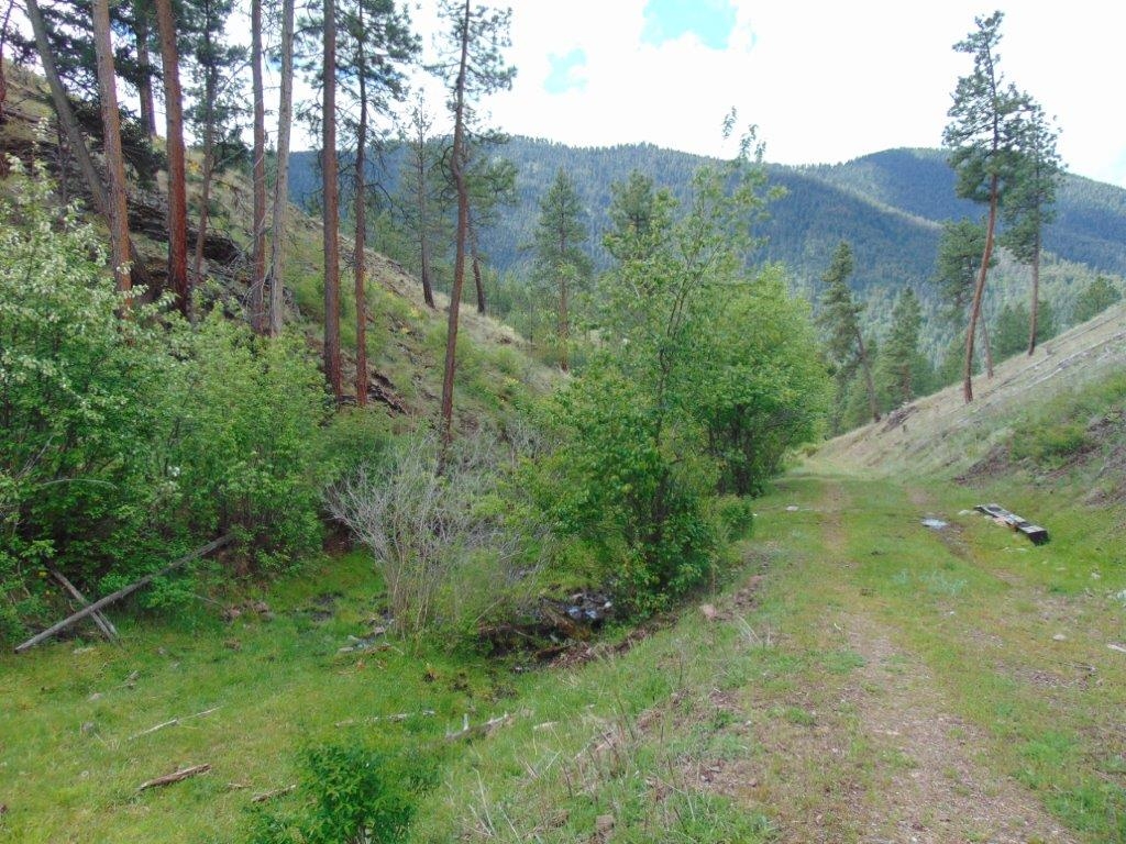 27235 Lazy Springs Road Clinton Horse Waterfront 4