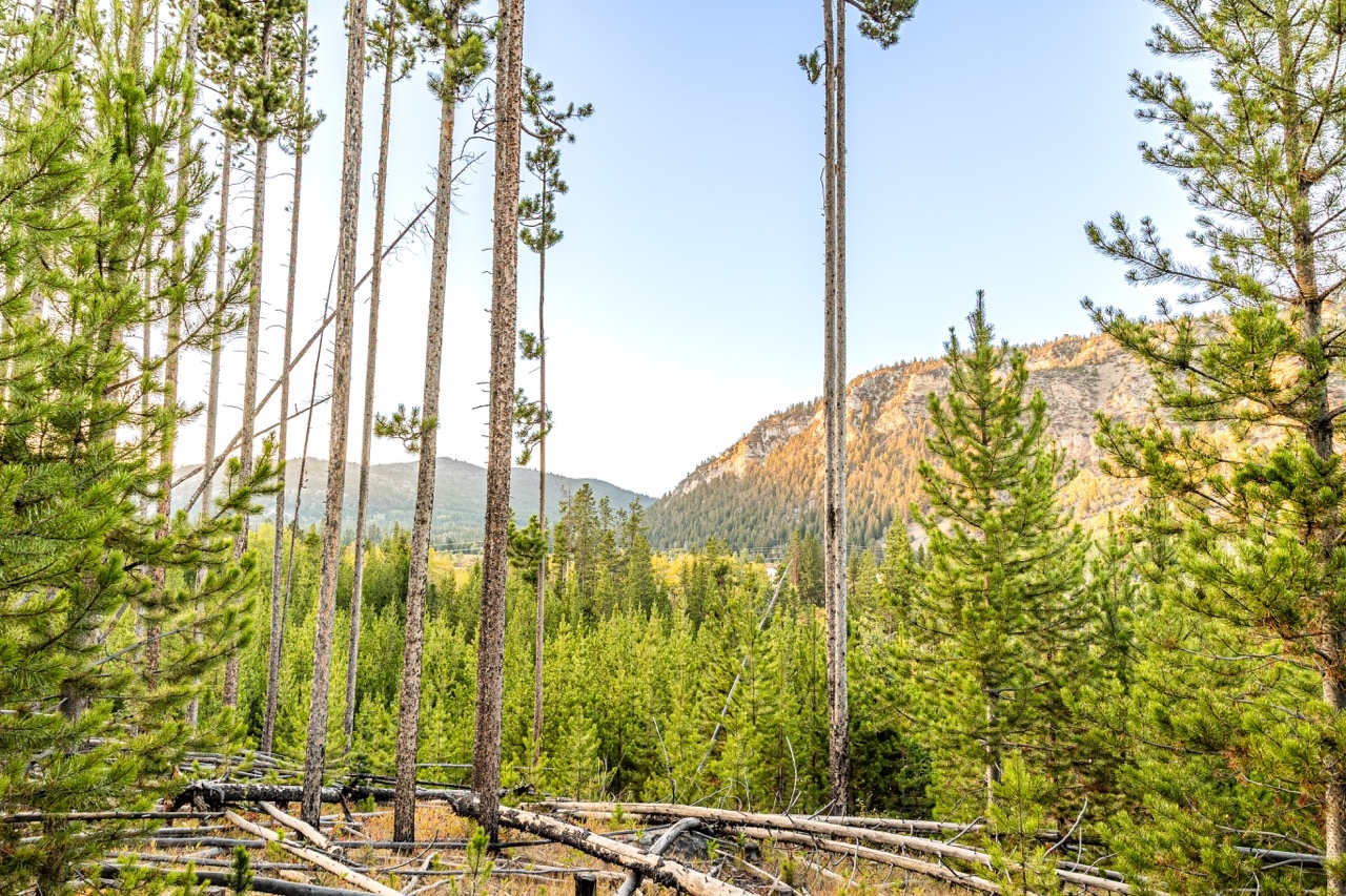 Lot 1 Tbd Harris Rd Anaconda Golf Ski Waterfront 5