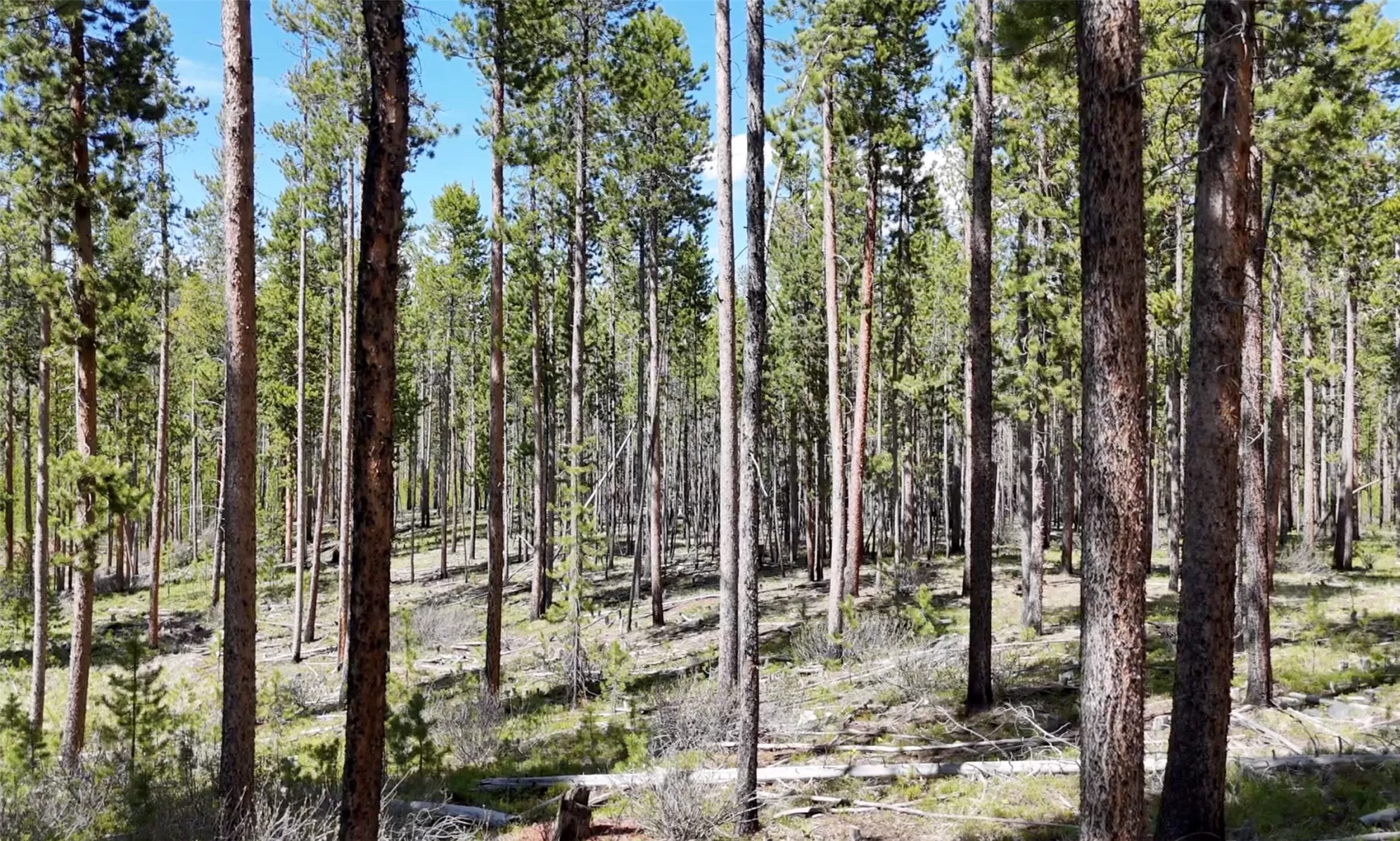 Lot 3 Tbd Harris Road Anaconda Golf Ski Waterfront