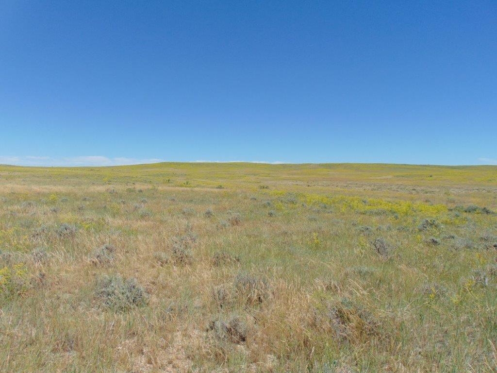 Tbd Wilder Trail Lewistown Unimprovedland Waterfro