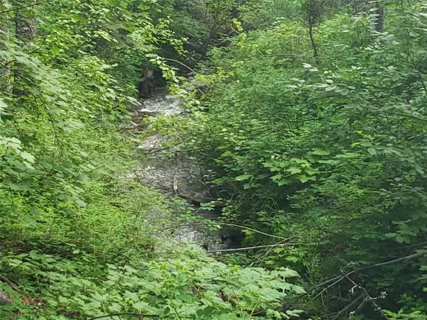 100 110 Browns Gulch Road Kalispell Unimprovedland