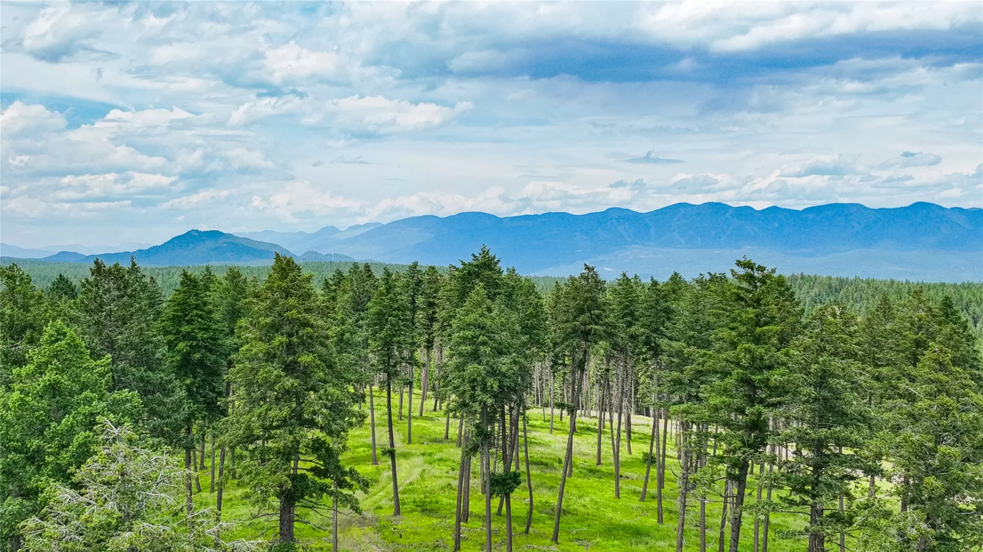 284 Layton Road Whitefish Unimprovedland Waterfron