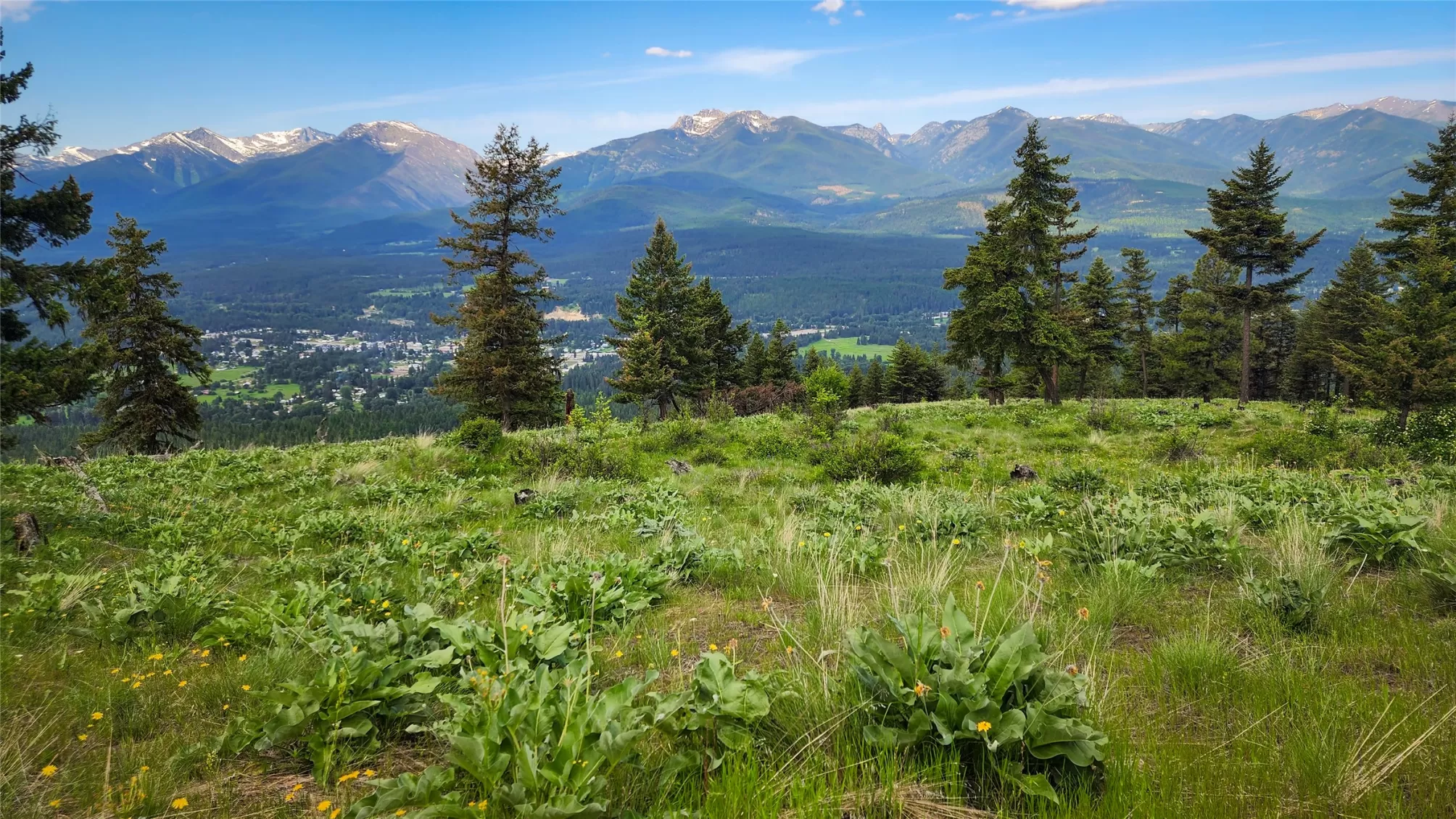 Nhn Swede Mountain Road Libby Waterfront 155 Acres