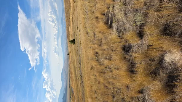 Tbd Gregson Lane Anaconda Unimprovedland Golf Hors