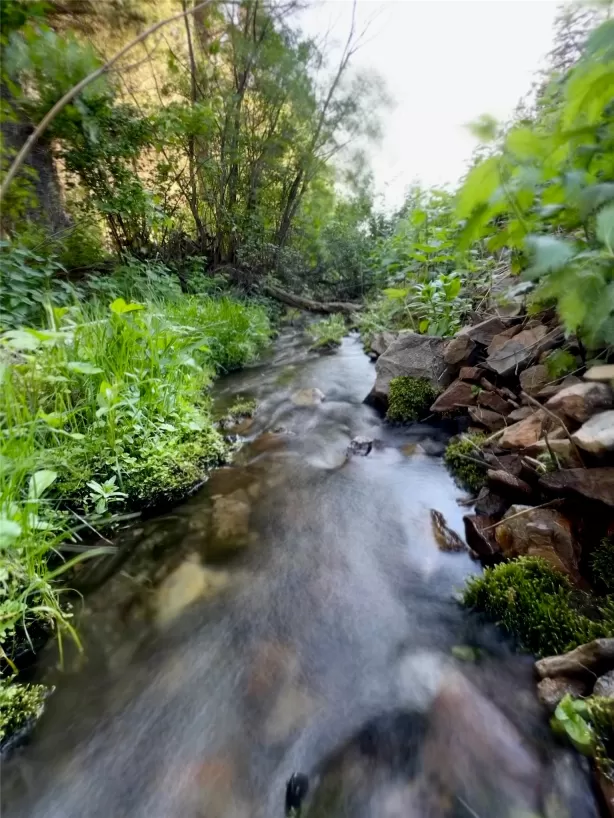 Tbd Soap Gulch Road Melrose Miningclaim Waterfront