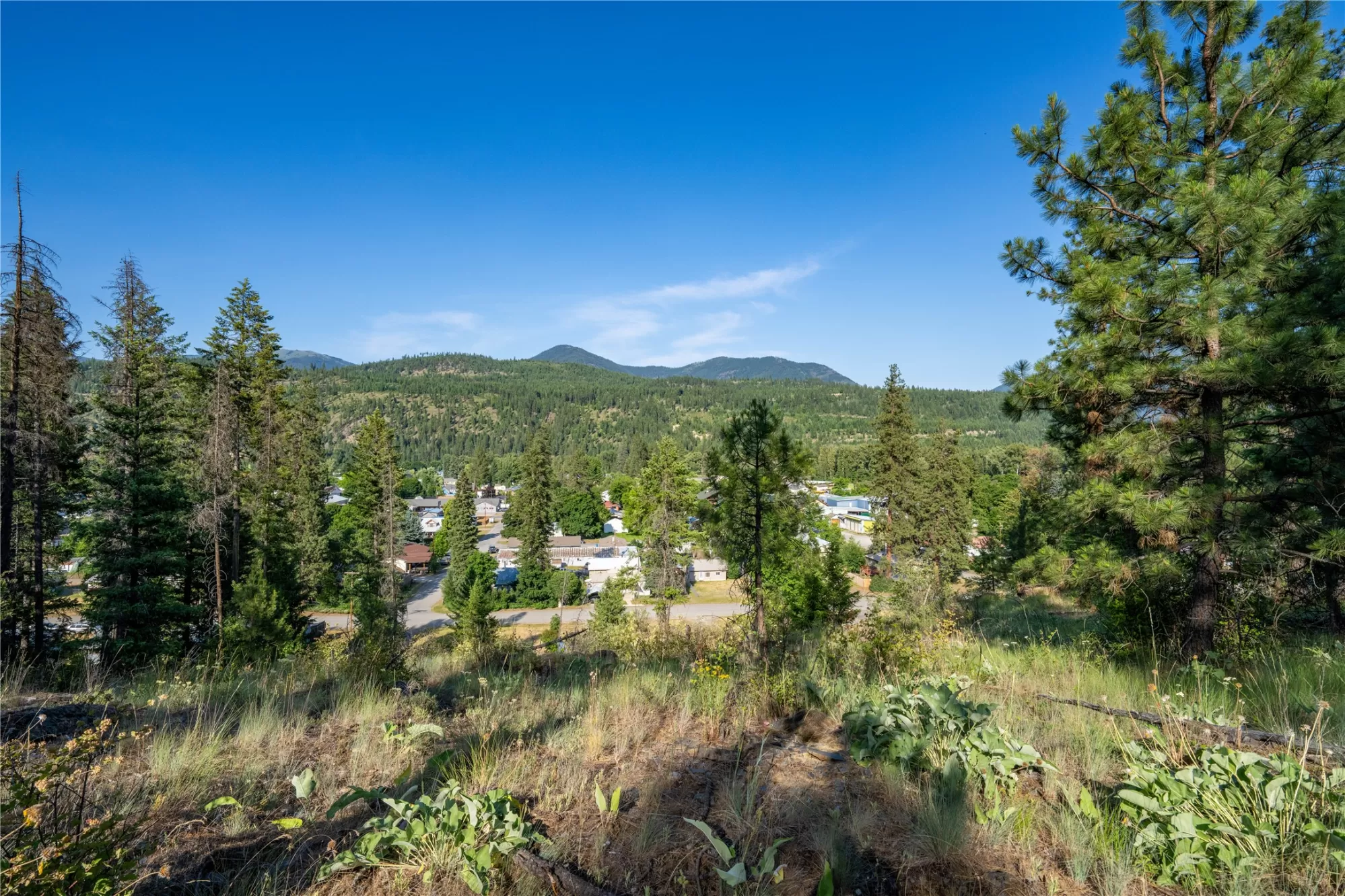 Tbd Dent Avenue Troy Unimprovedland Waterfront 7 A