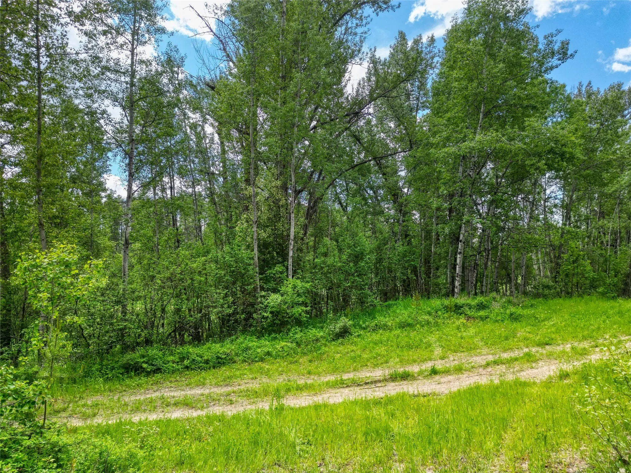 11315 Us Highway 2 E West Glacier Waterfront 37 Ac