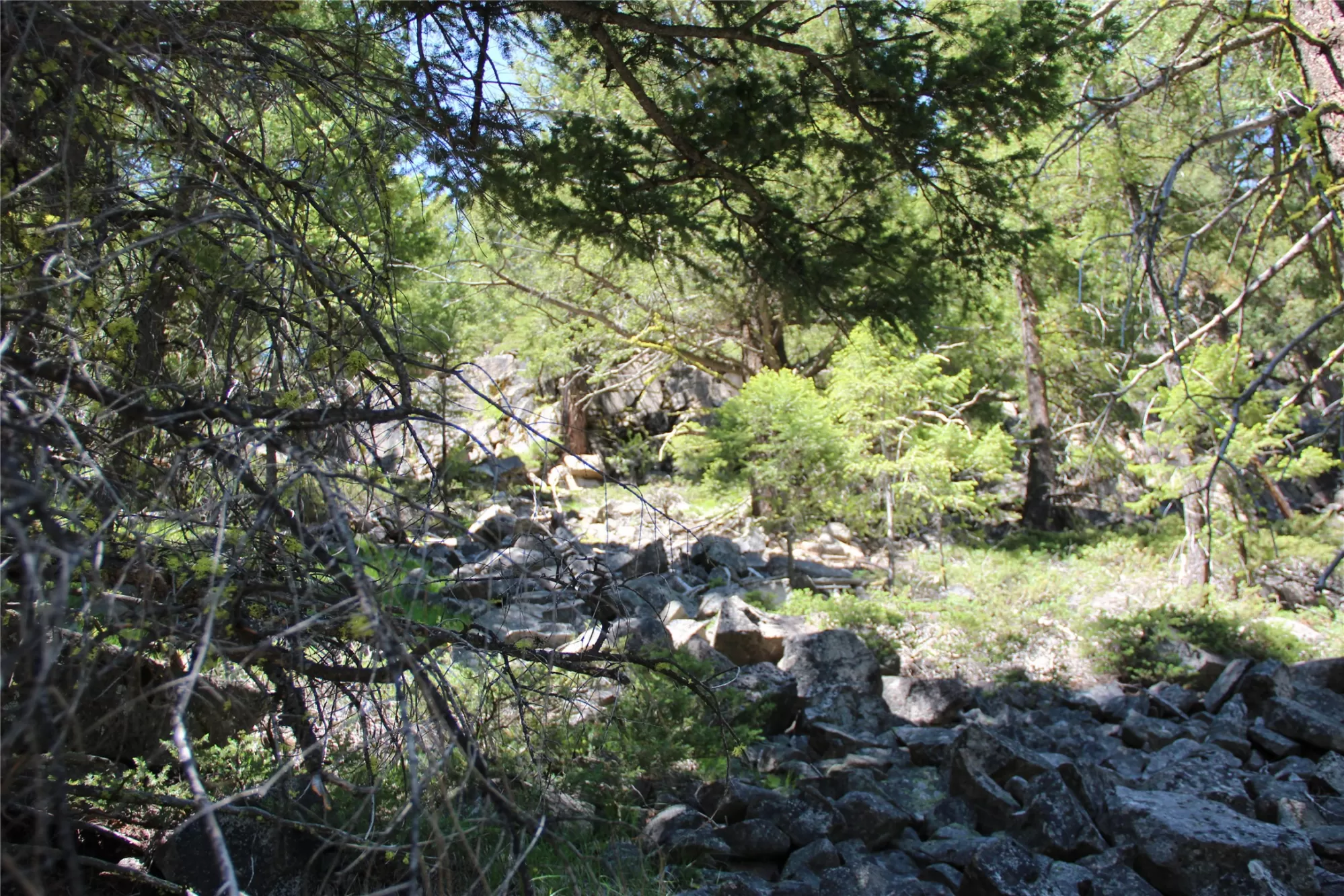 56 Kewanee Lode Philipsburg Unimprovedland Waterfr