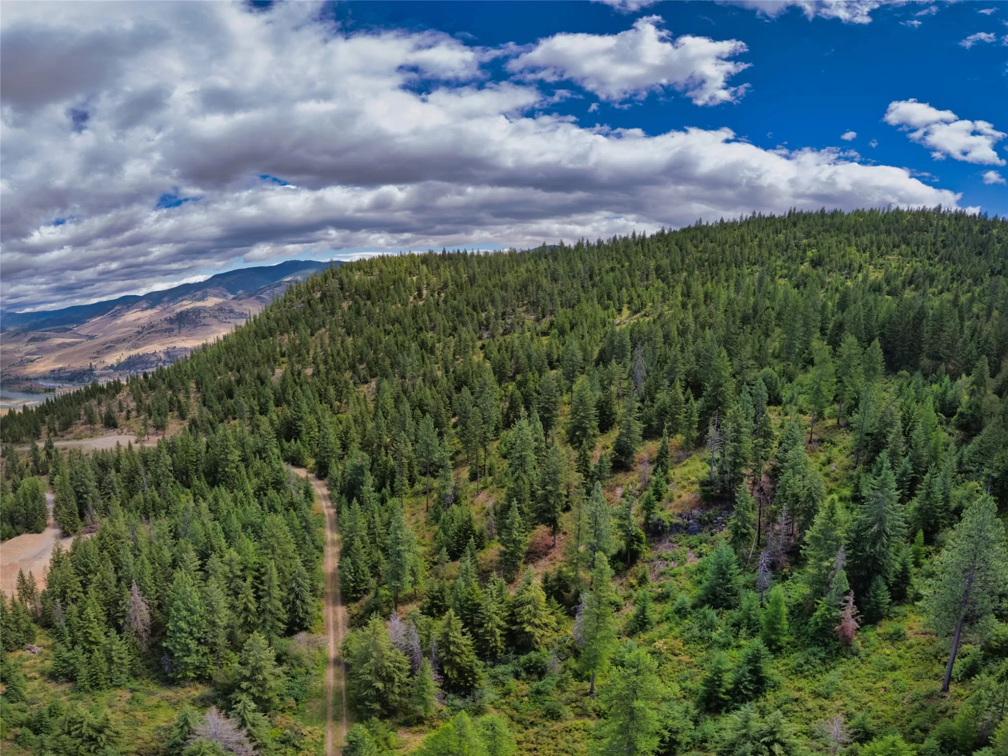 Lot 1 Bighorn Bluff Road Plains Waterfront 9 Acres