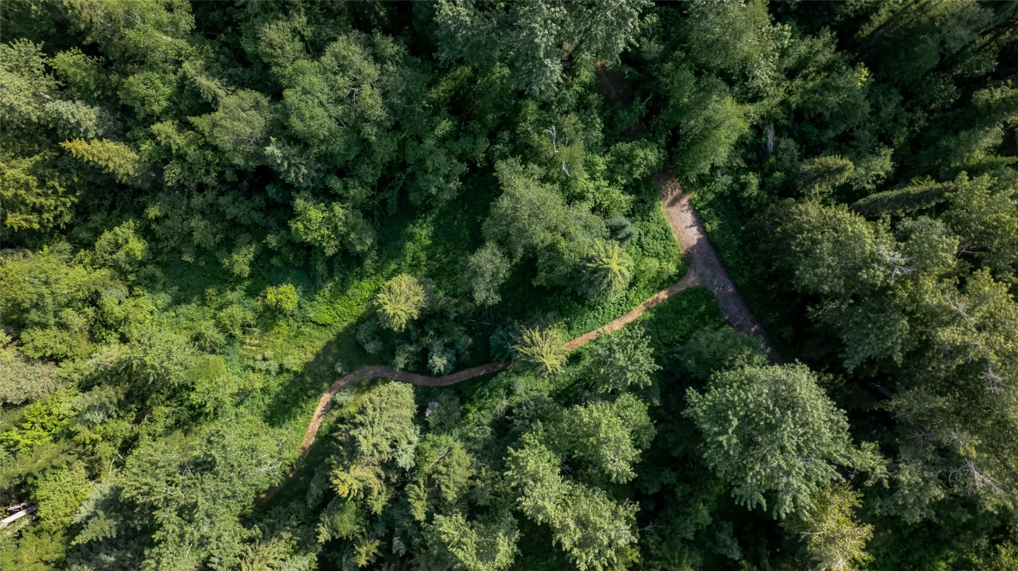 Nhn Trumble Canyon Road Columbia Falls Unimprovedl