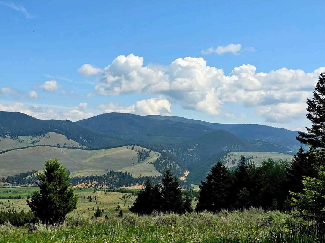 Tbd Tract 5 Hall Creek Helmville Unimprovedland Wa