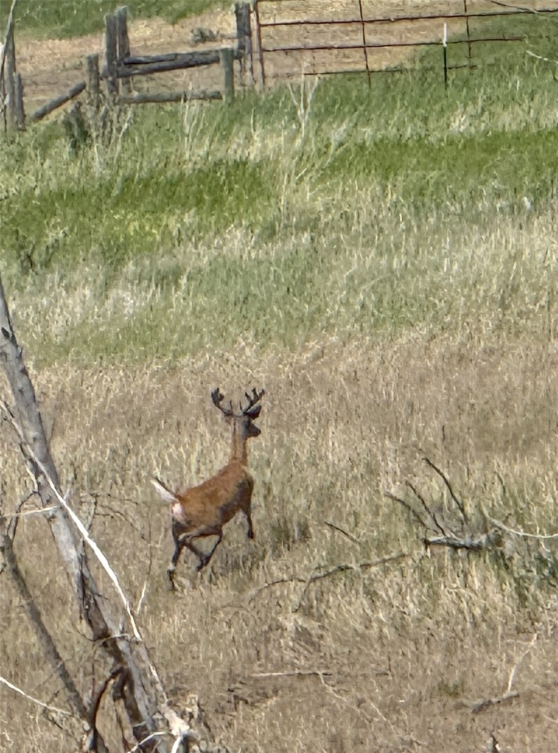 Lot 5 Bessie Lane Stevensville Waterfront 10 Acres