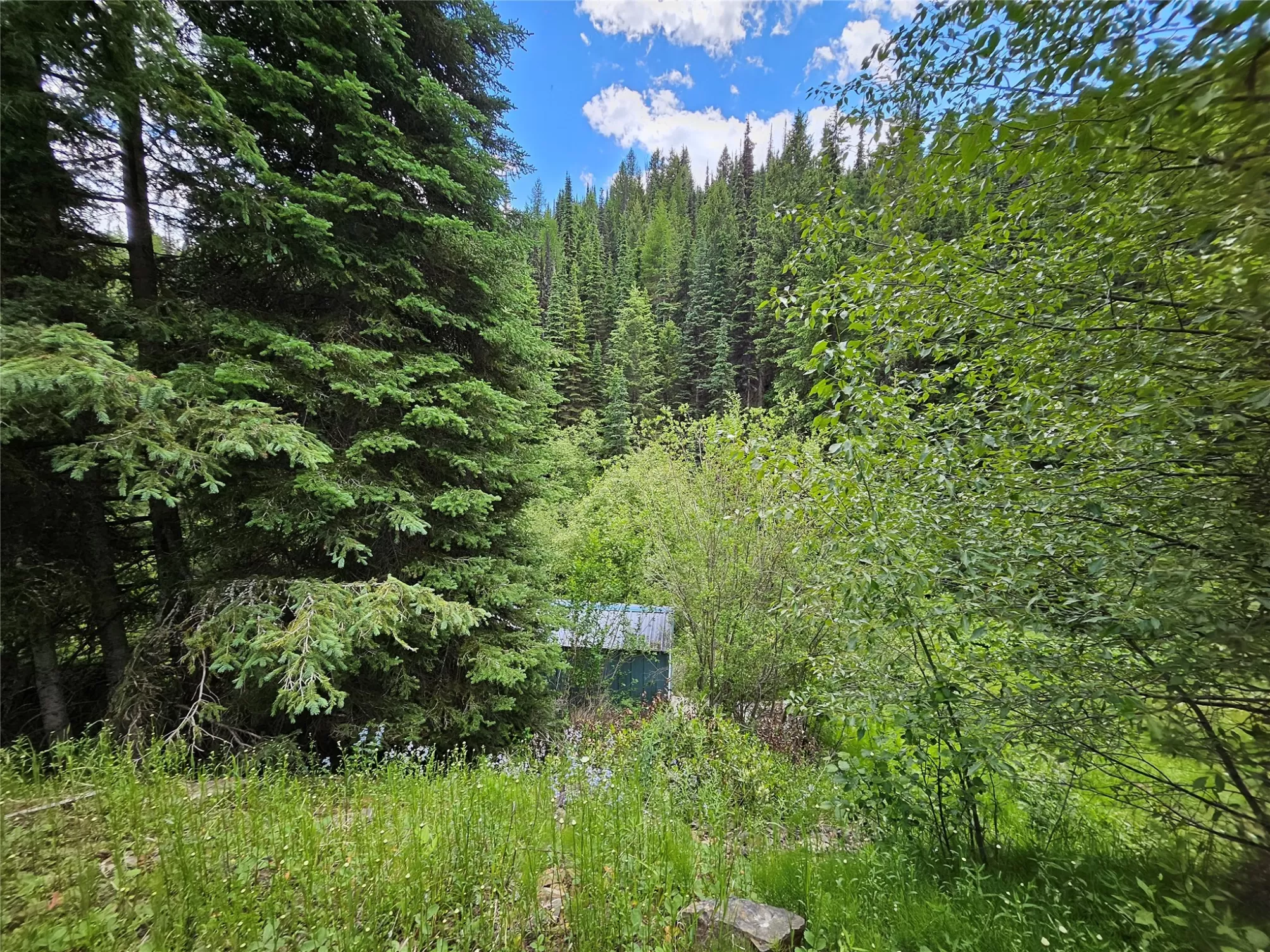 000 Fern Creek Road Frenchtown Unimprovedland Wate