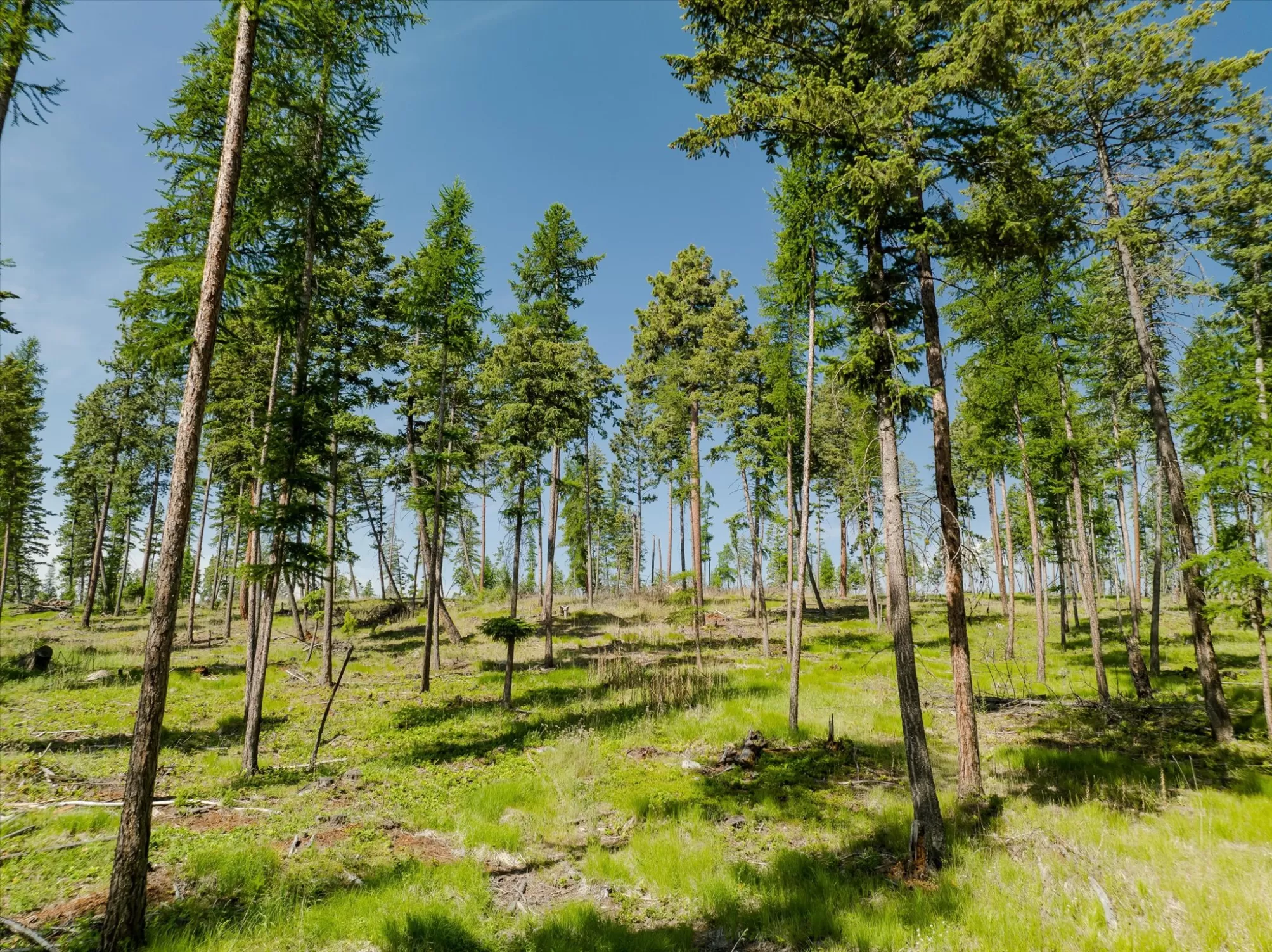 523 Northern Larch Trail Kalispell Waterfront 5 Ac