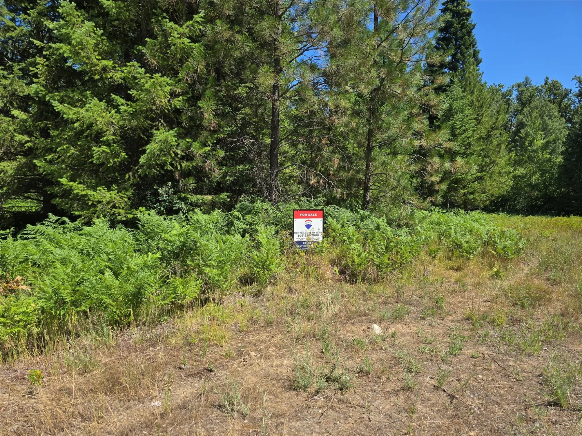 Nhn S Side Road Troy Agriculture Ski Waterfront 56