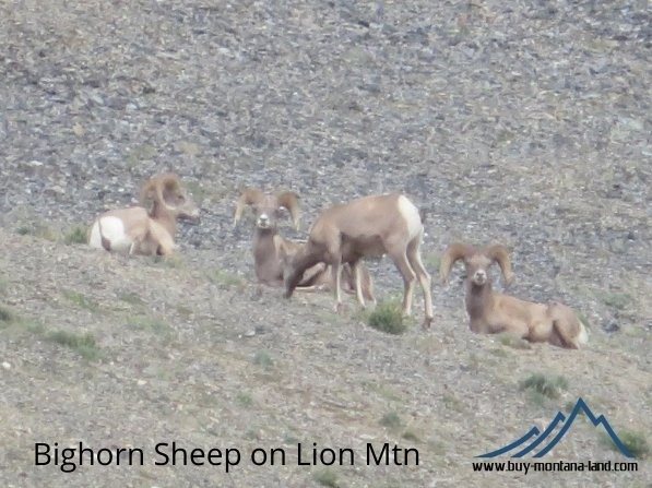 Tbd Trapper Creek Road Melrose Unimprovedland Wate