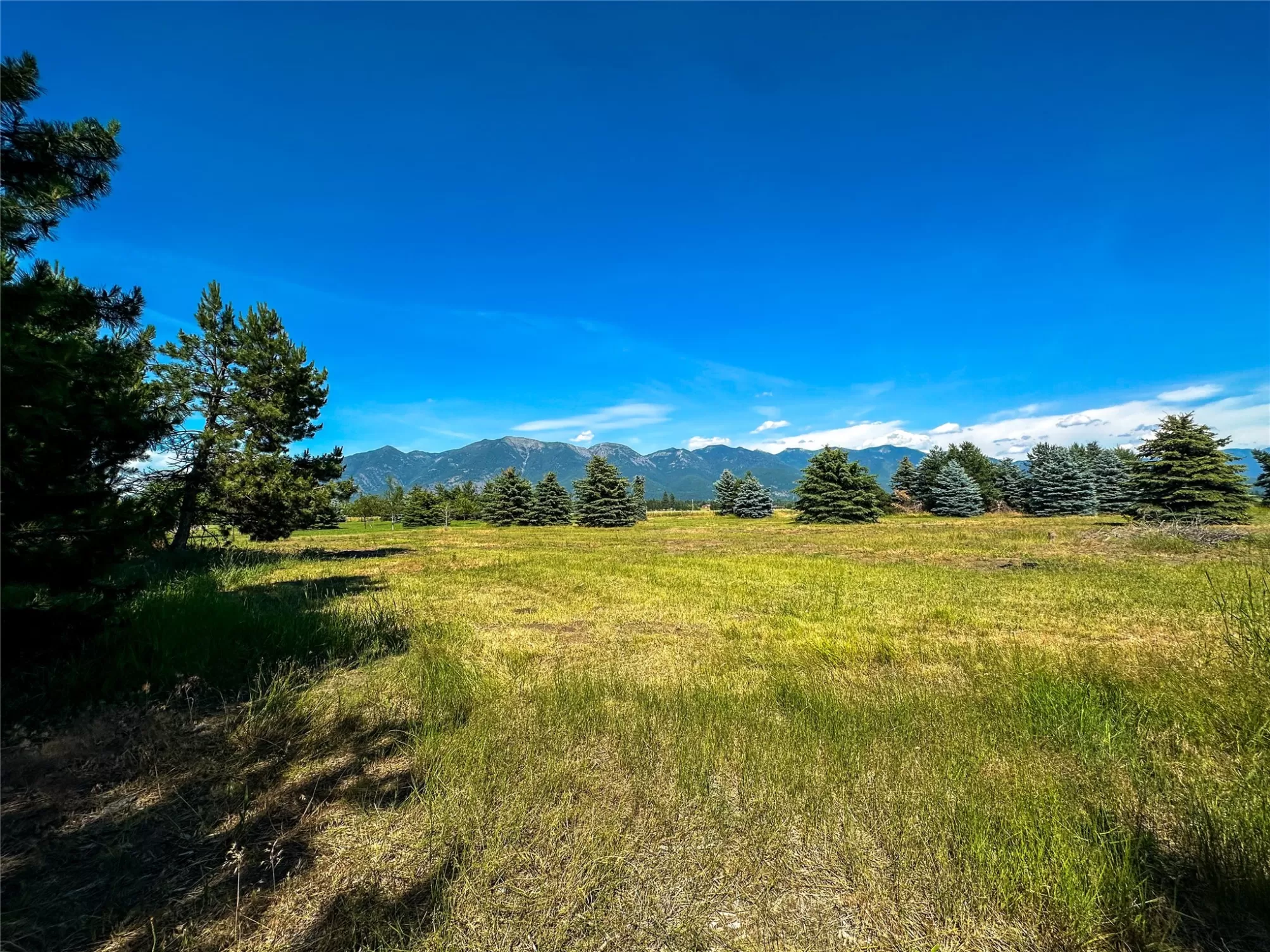 197 Jefferson Street Kalispell Unimprovedland Wate