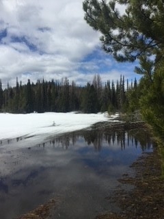 Nka Dirty Ike Road Clinton Unimprovedland Waterfro