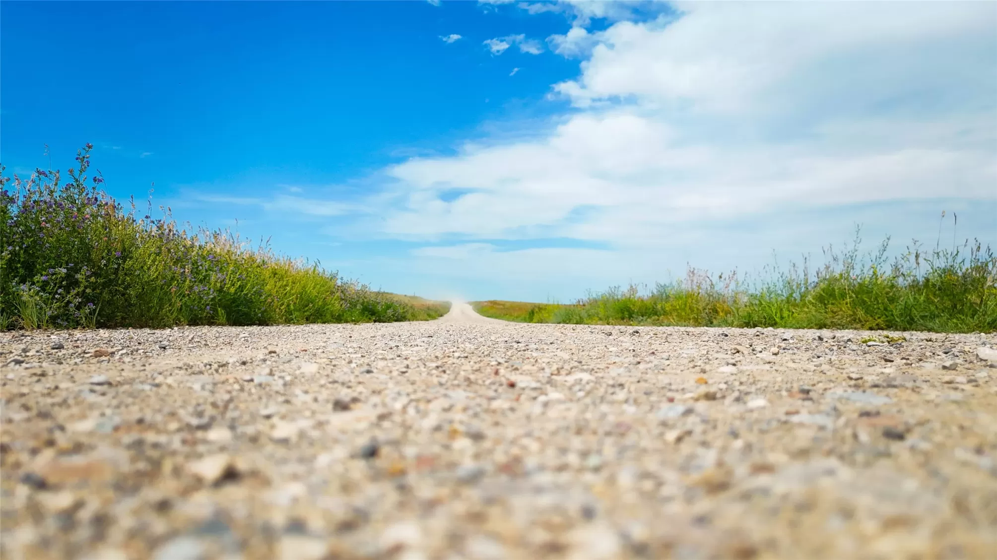 Tbd Little Belt Way Belt Unimprovedland Horse Wate